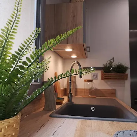 Carcasso Apartamento *