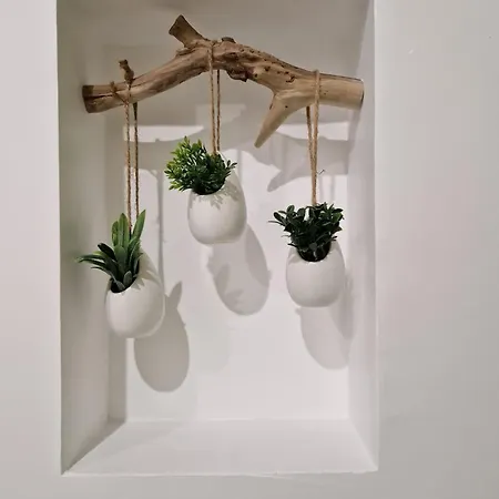 Carcasso * Carcasona