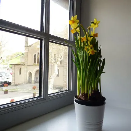 Apartment Carcasso Carcassonne