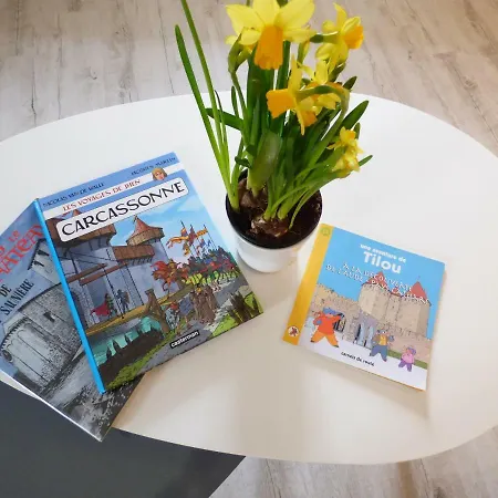 Apartment Carcasso *