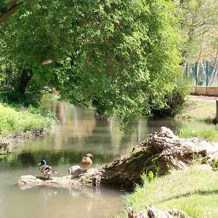 Carcasso * Carcasona