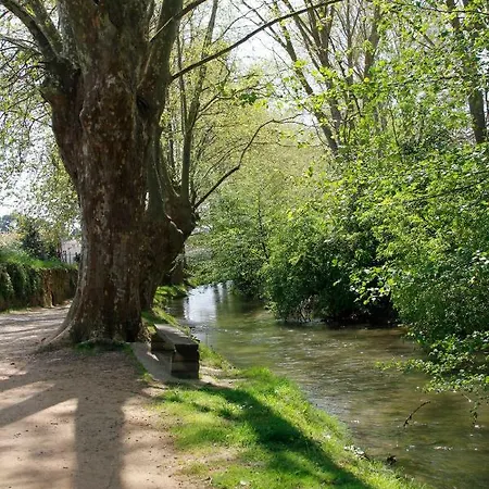 Apartamento Carcasso *