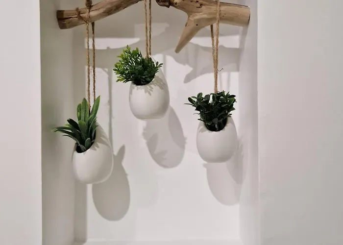 Carcasso * Carcassonne