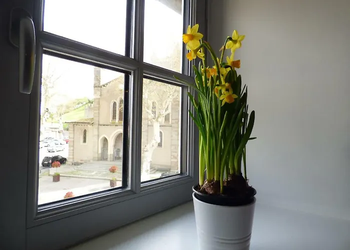 Apartamento Carcasso Carcasona