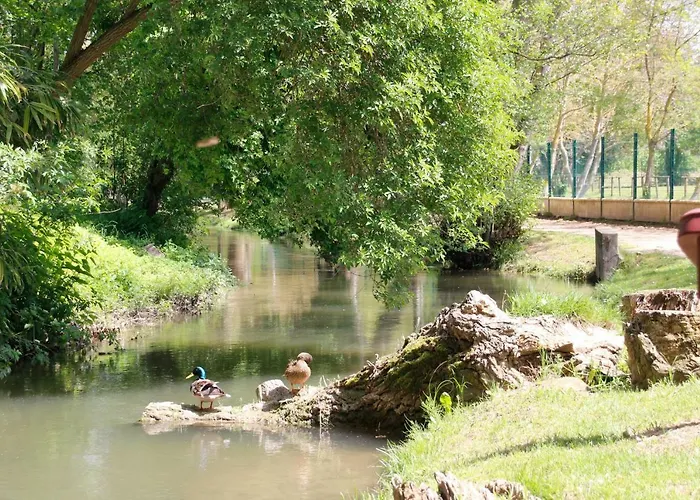 Carcasso * Carcasona