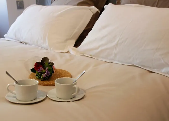 Apartamento Carcasso Carcasona